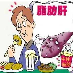 老年人患有脂肪肝后不能吃哪些东西？