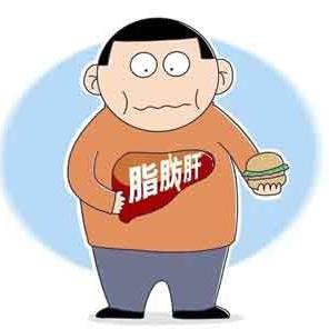脂肪肝要怎么调理才好得最快呢？