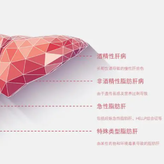 泰安圣康医院讲述老年人脂肪肝怎么调理好的快